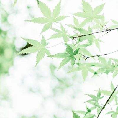 提高防灾意识 筑牢安全屏障